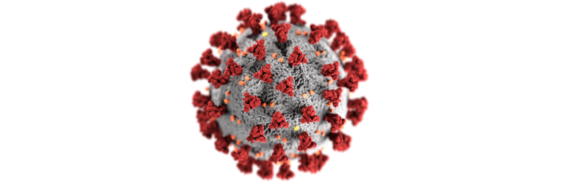 Coronavirus Maßnahmen der Stadt Bamberg
